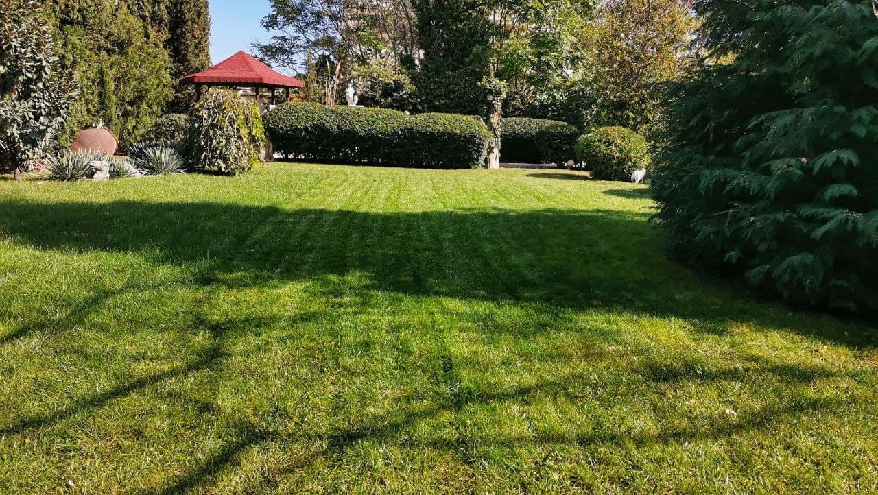 Озеленяване на двор