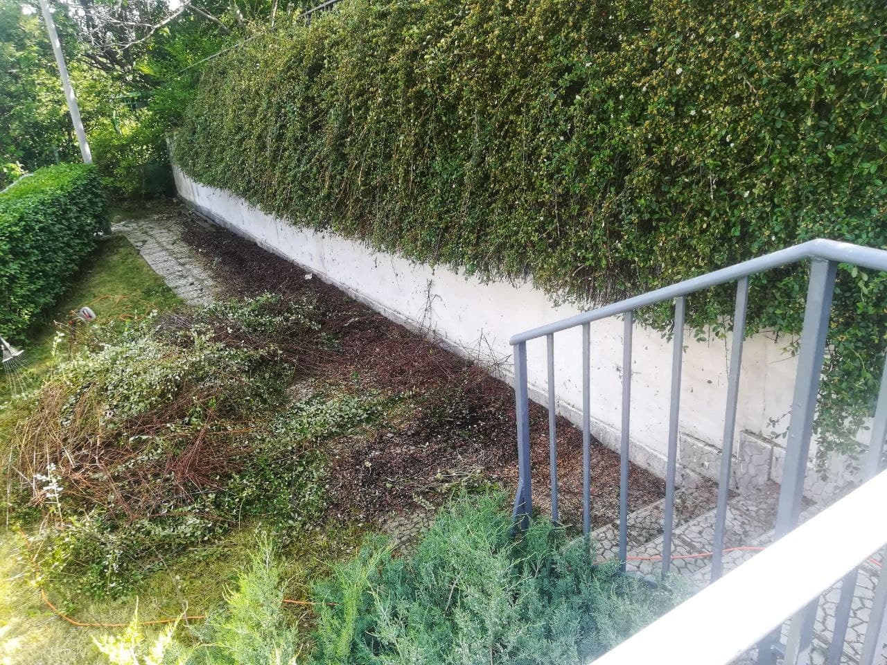 Красива поляна