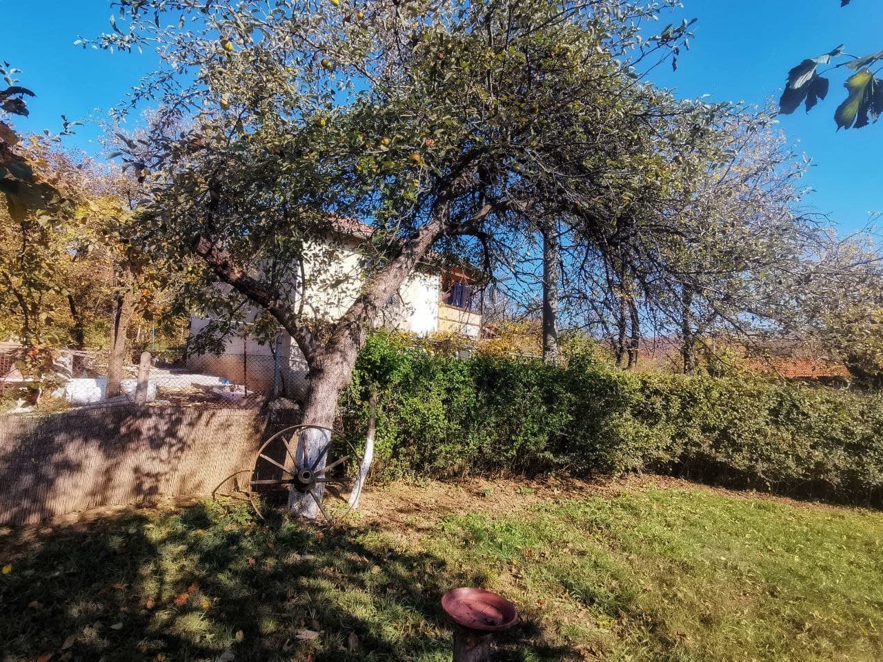 Градинска алея