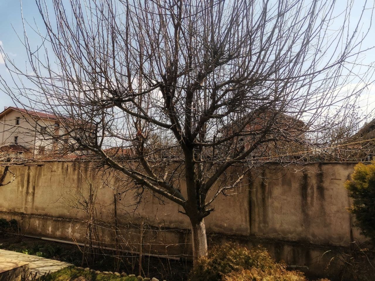 Преди