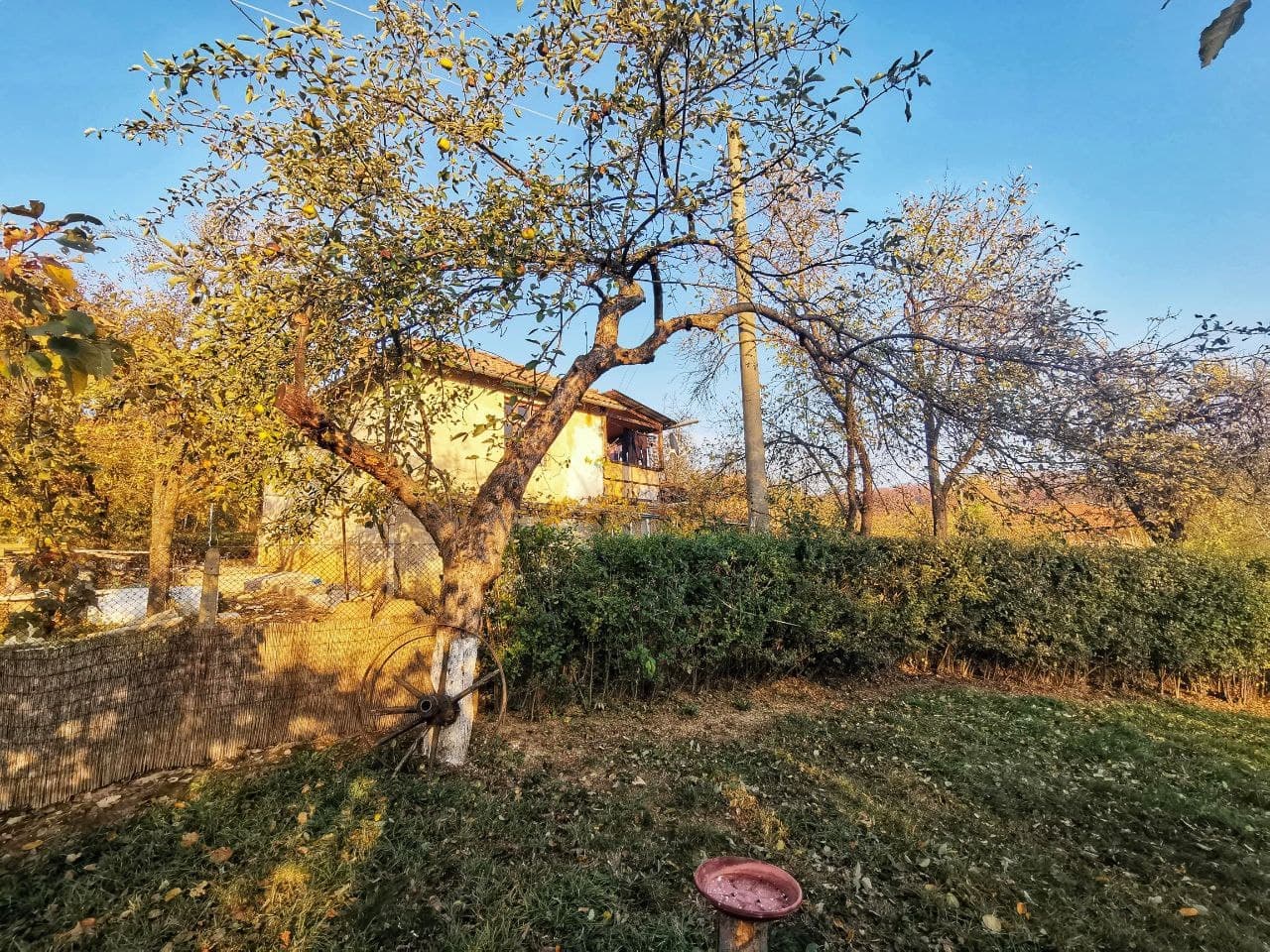 След